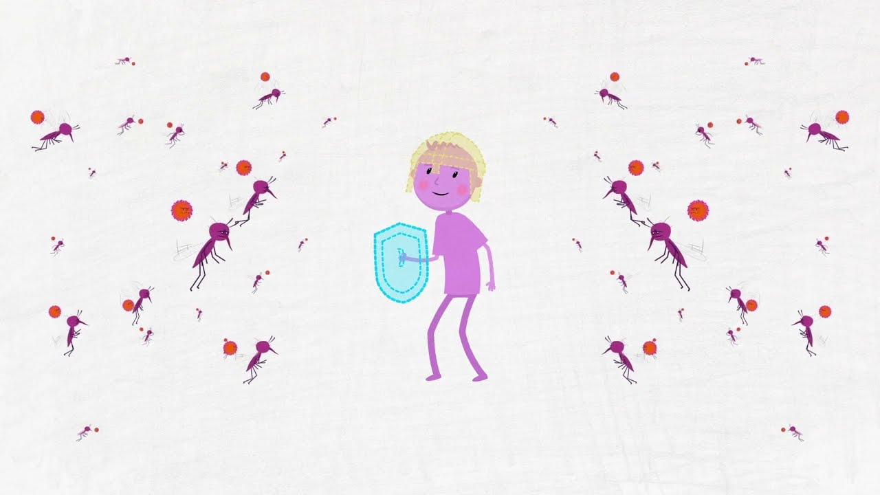 Get A Dengue Game Plan