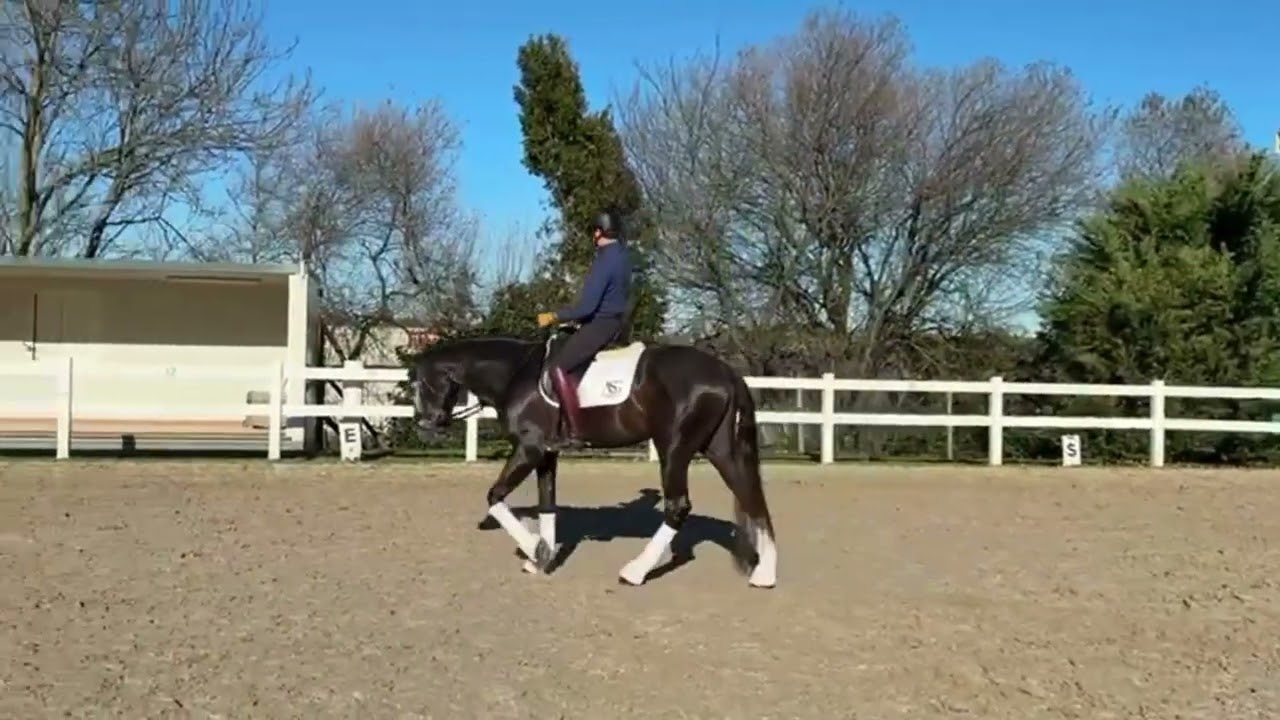 SOLEADO_2 /// + images & info :  