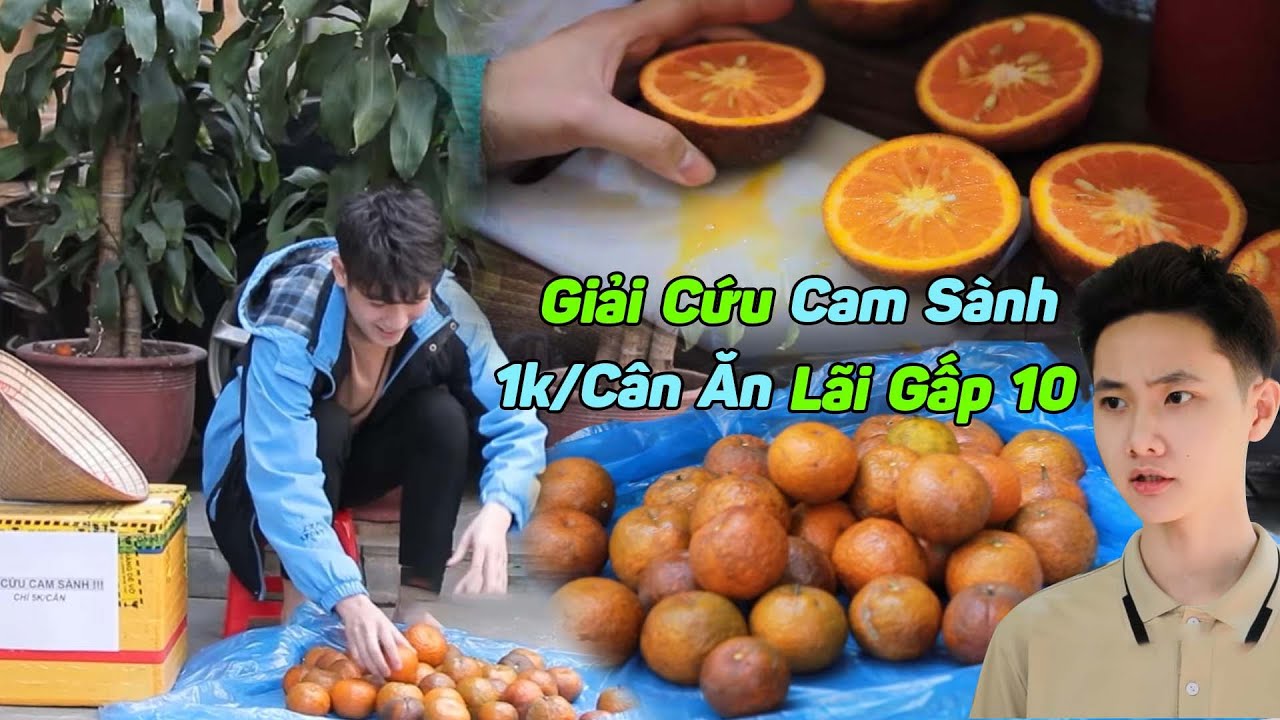Gian Thương Bày Trò Ép Giá Cam Sành Giải Cứu Còn 1k/Cân, Ăn Lãi Gấp 10 l Thám Tử Nhí Tổng Hợp 