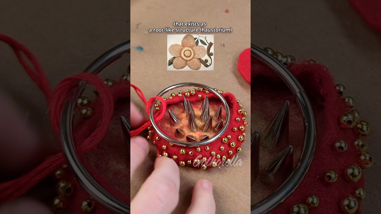 Зловонная трупная лилия 🌸AKA🌸Раффлезия🪰 (произведение искусства из бисера)