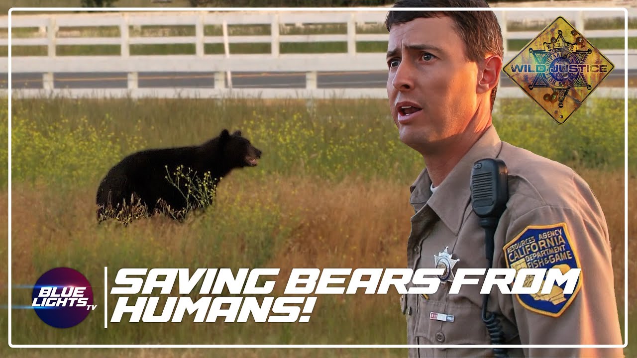 6 Moments Where Wardens SAVED Bears From POACHERS! | Wild Justice
