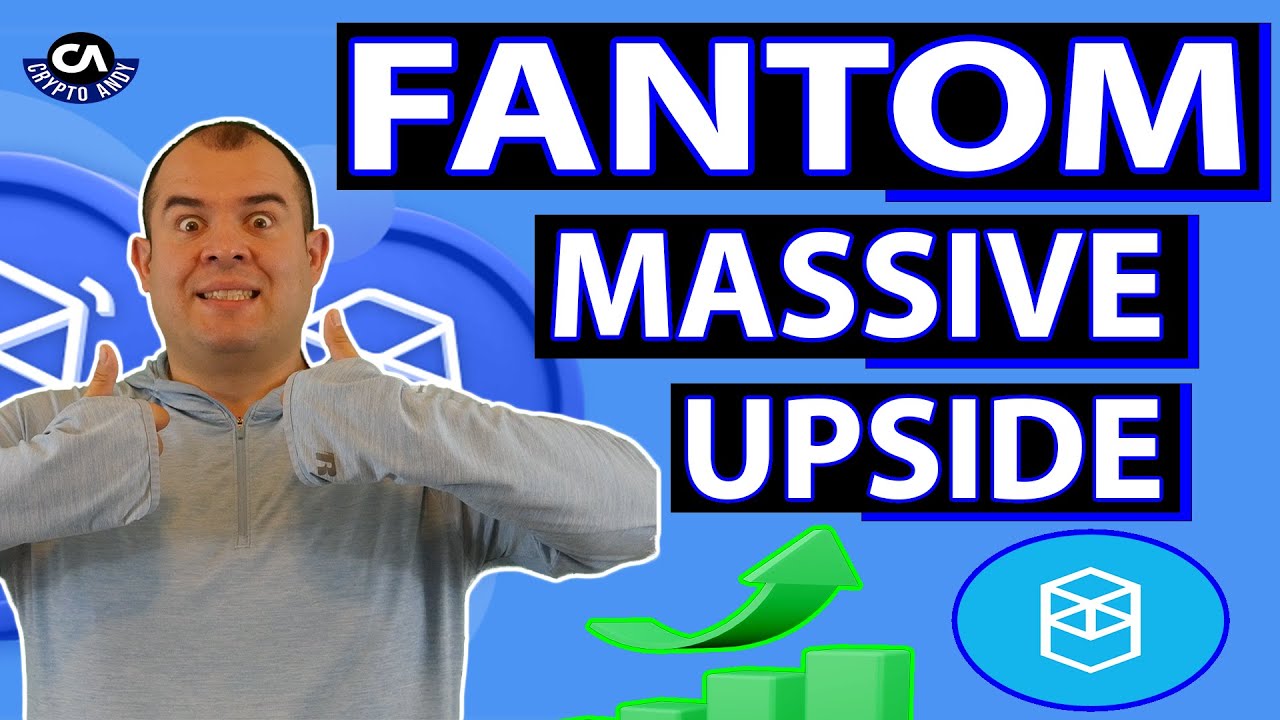 Fantom Crypto Explained: 1400% Upside in 2024 !! Buy Crash HODL!!