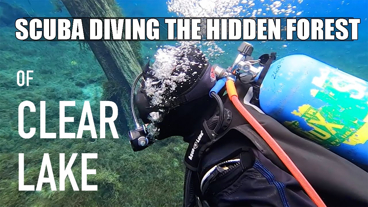 Scuba Diving Clear Lake, Oregon (Hidden Forest)