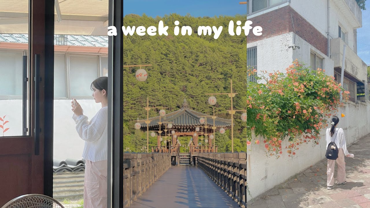 [ 여행 브이로그 ] 뜻대로 되는 거 하나 없던 안동여행 | 즉흥여행 | 고즈넉한 국내 여행지 | 월영교 | 하회마을 | 안동찜닭골목 | 미드레인지 | 폭염주의보,,