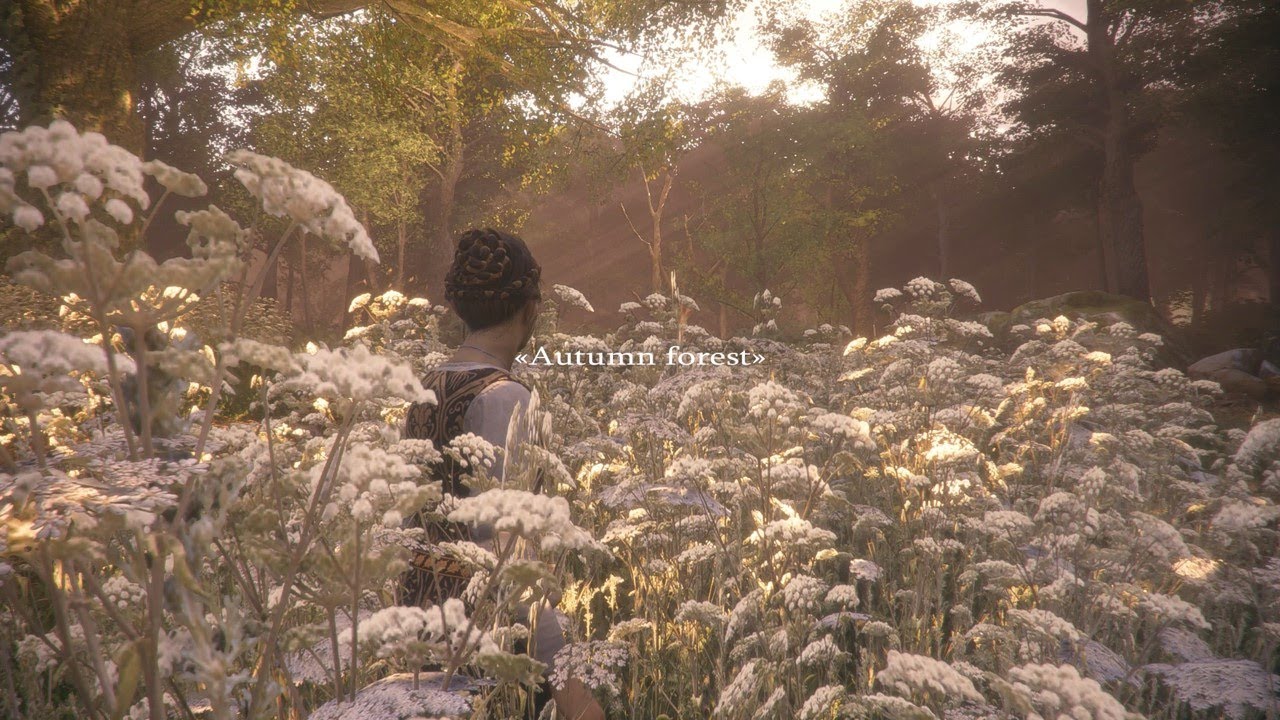 «Autumn forest» Ambient Music from A Plague Tale: Innocence