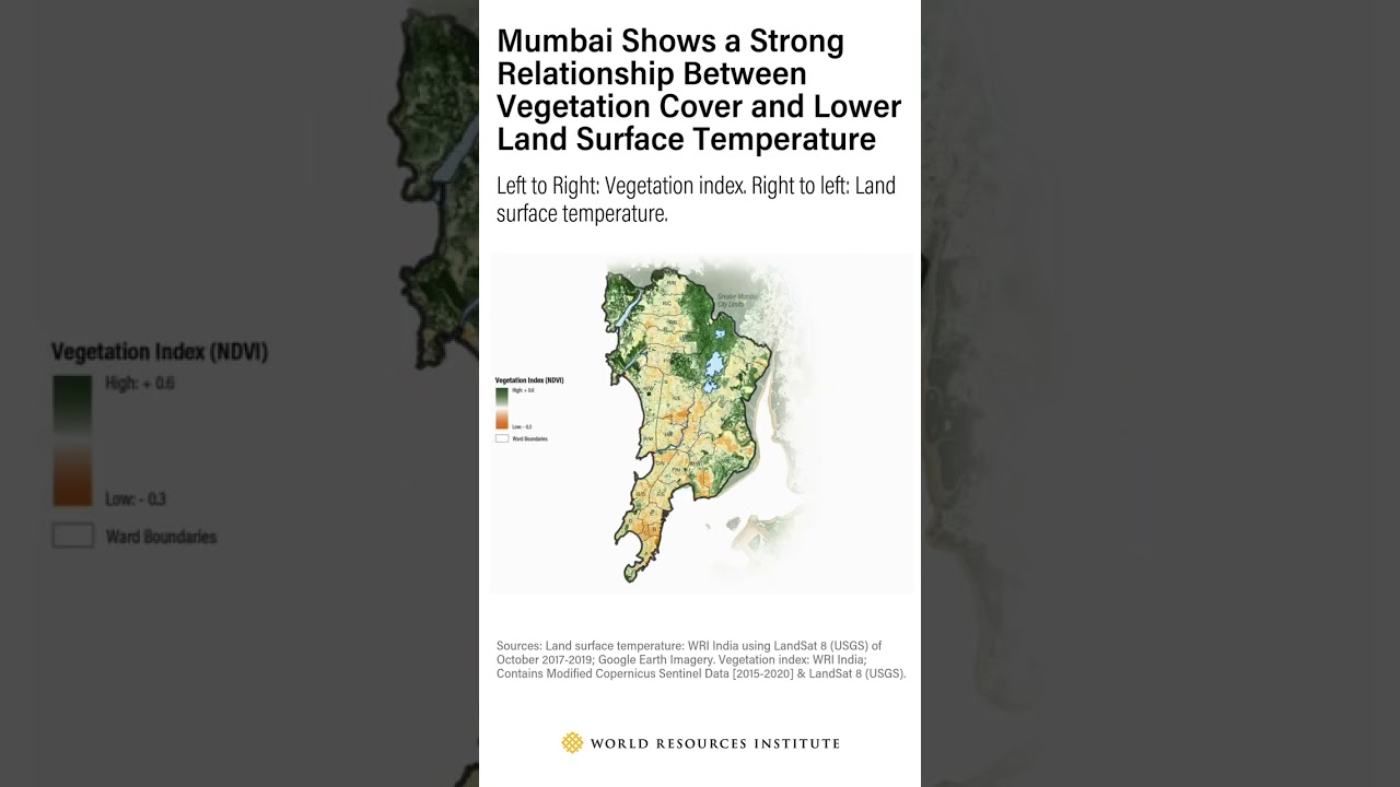 Mumbai Climate Change #climatechange #earth #environment #globalwarming #shorts #ytshorts #nature