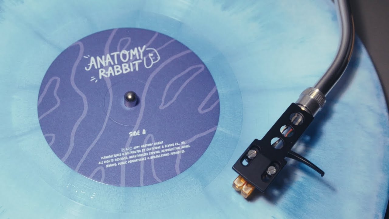 Anatomy Rabbit - ตาฟา / Tapha (Acoustic Version)(Vinyl-เสียงจากแผ่นเสียง)