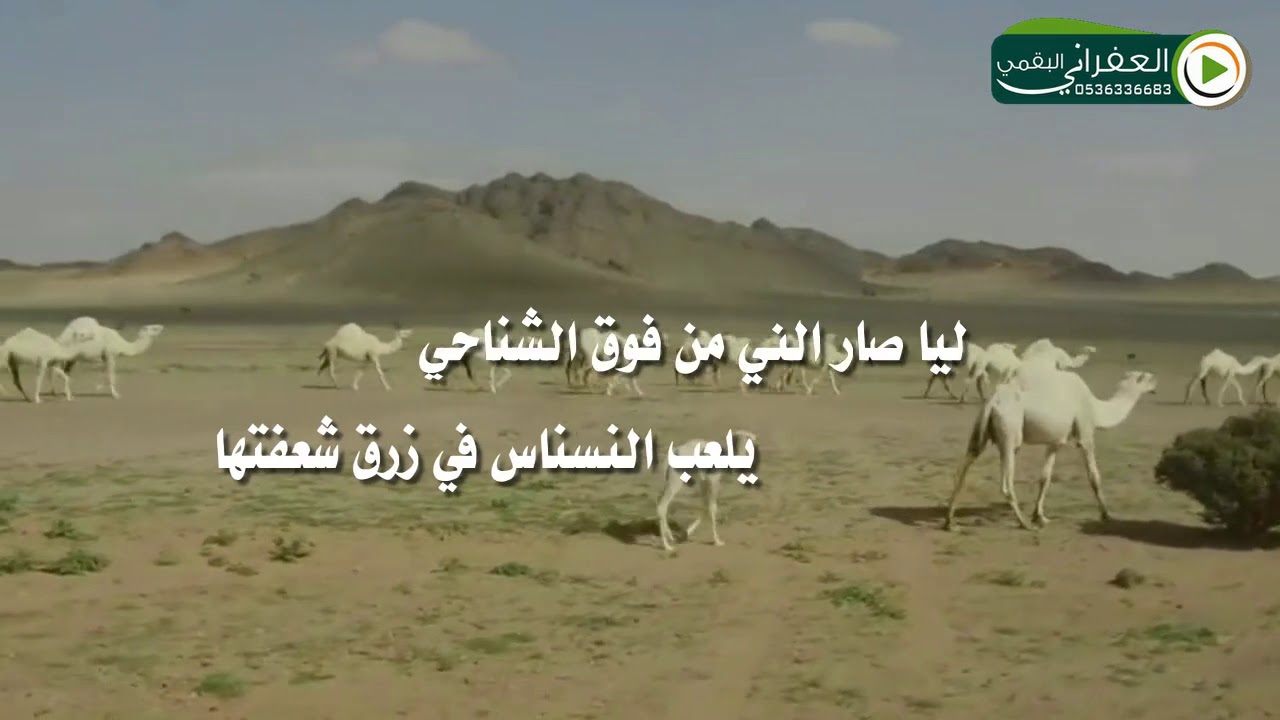 شيلةالصيف:حرك المقهور مع درب الطياحي كلمات عبدالعزيز سعد اداء سعدون فيصل