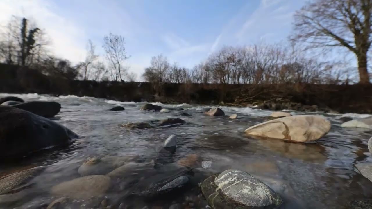 Peaceful River Flow with Birdsong | 12 Hours of Calming Nature Ambience for Sleep