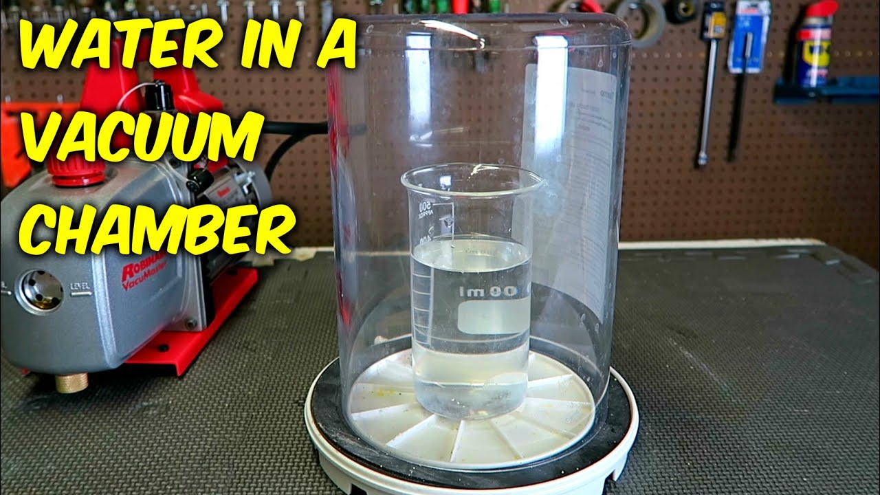 Amazing Experiments with Water in a Vacuum Chamber