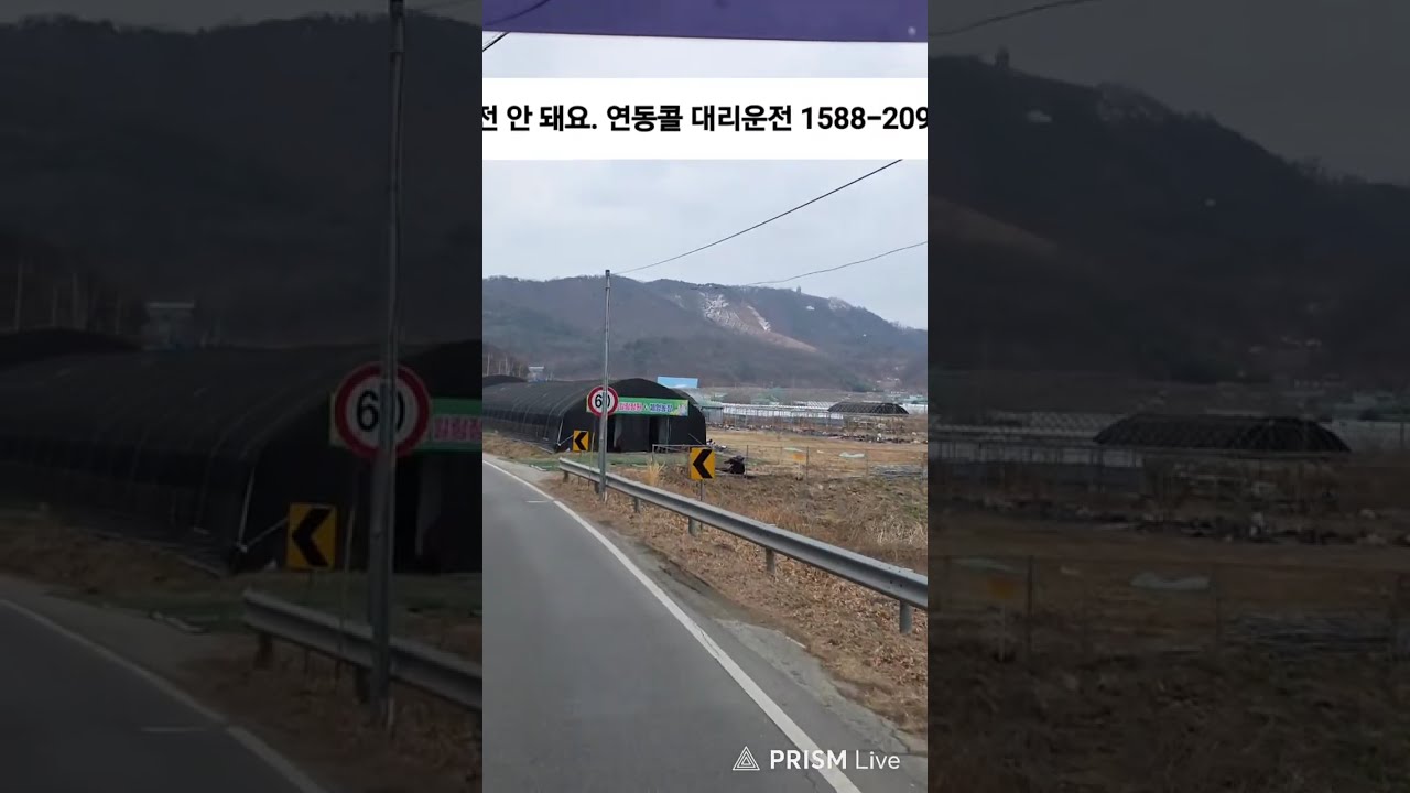 트럭커 집시 브이로그 라이브 방송