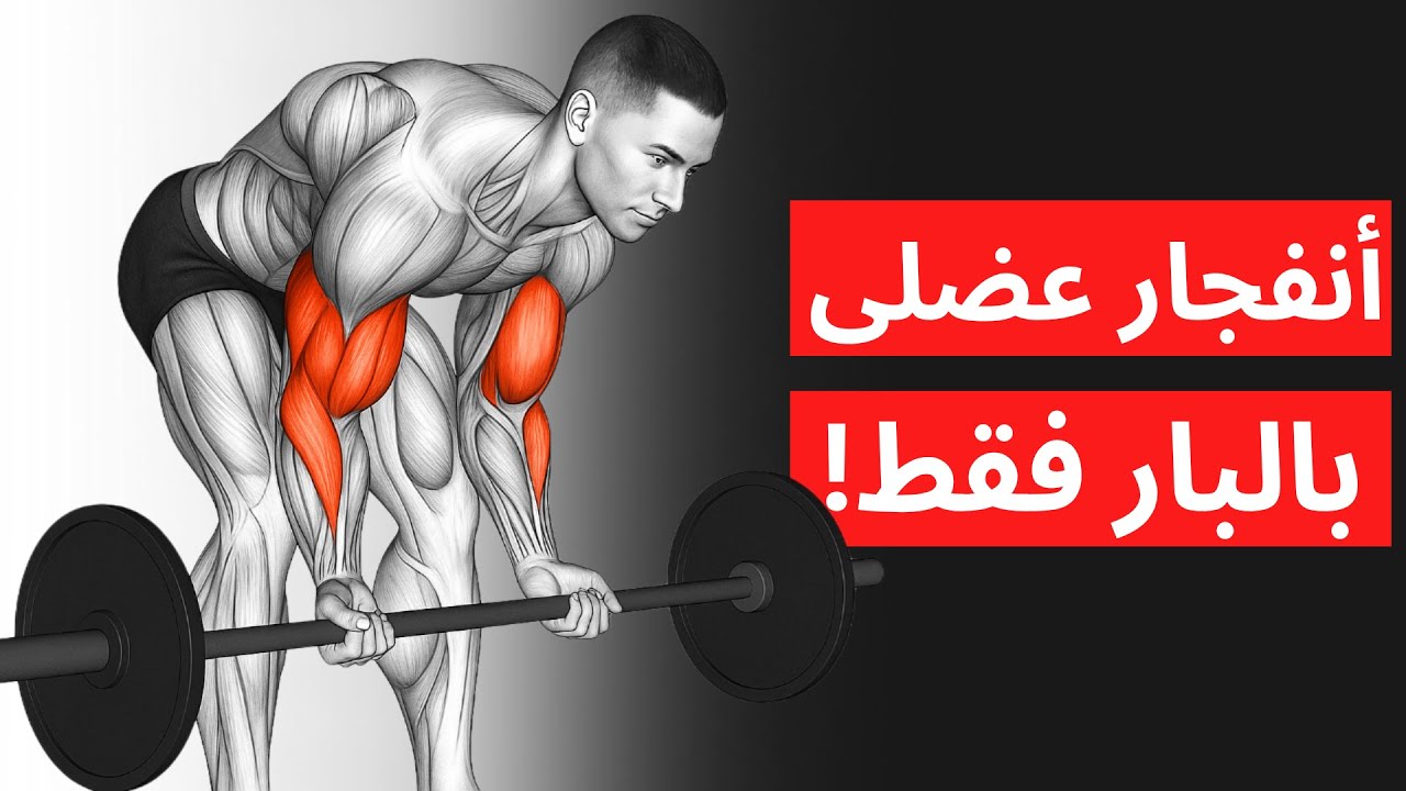 5 تمارين بالبار للضهر والذراع – هيولعوا عضلاتك