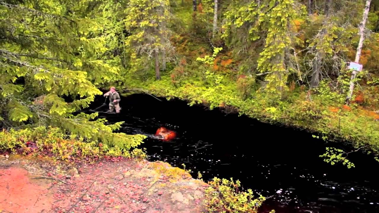 Road Trip to Eco Rapids 2/2