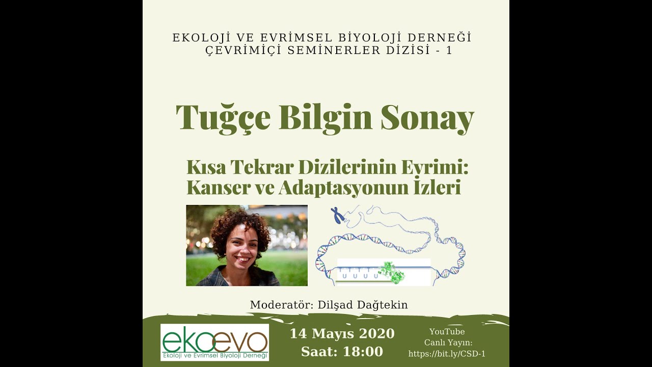 Tuğçe Bilgin Sonay - Kısa Tekrar Dizilerinin Evrimi: Kanser ve Adaptasyonun İzleri