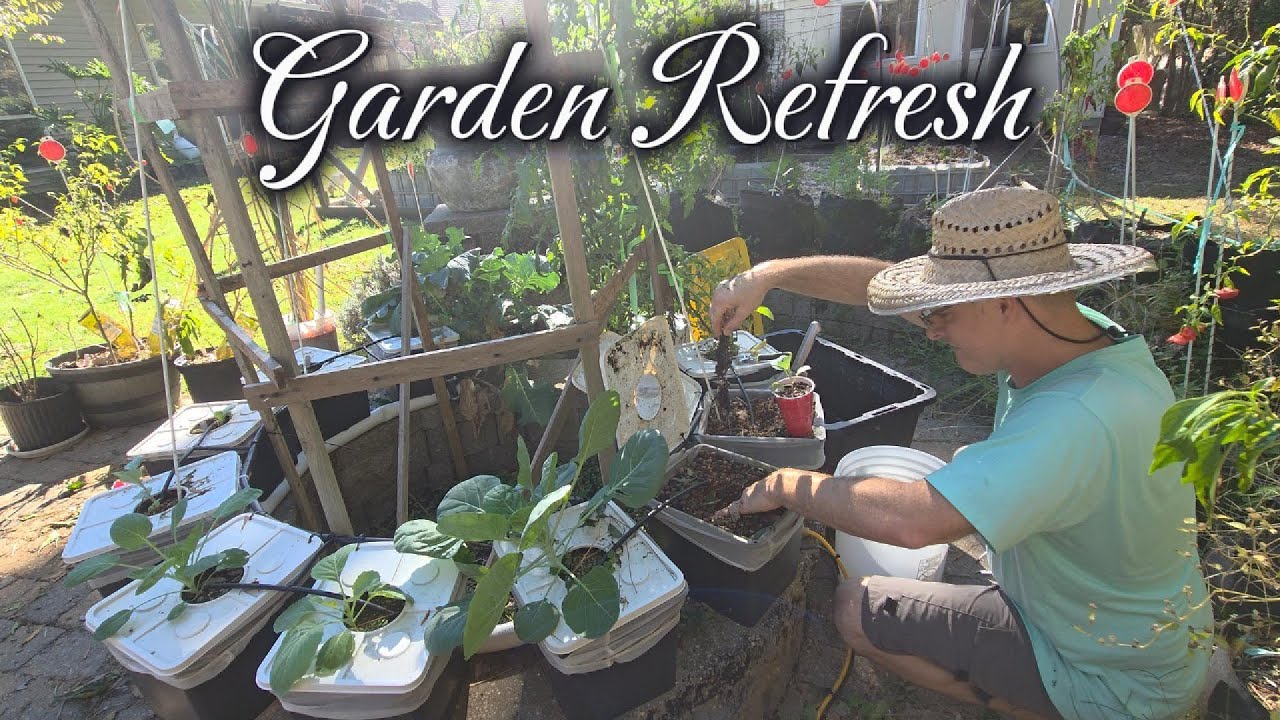 Garden Refresh & Hydroponic Overhaul | Making Room for Fall Brassicas