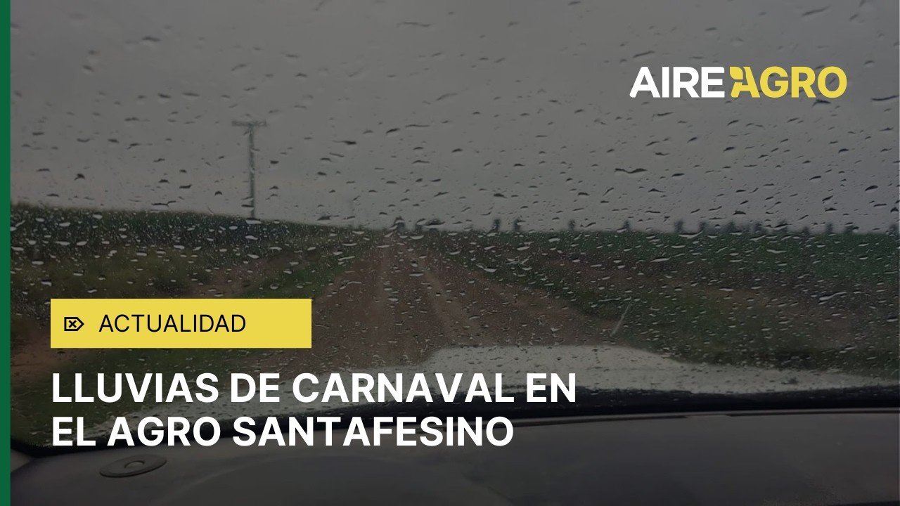 LLUVIAS Y CARNAVAL EN SANTA FE: más de 300 mm en el norte y ALIVIO CLAVE para LA SOJA 🌧️🌱