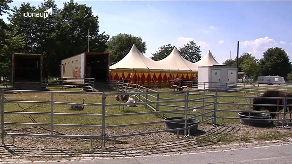 Tierschutz contra Wildtierhaltung im Zirkus