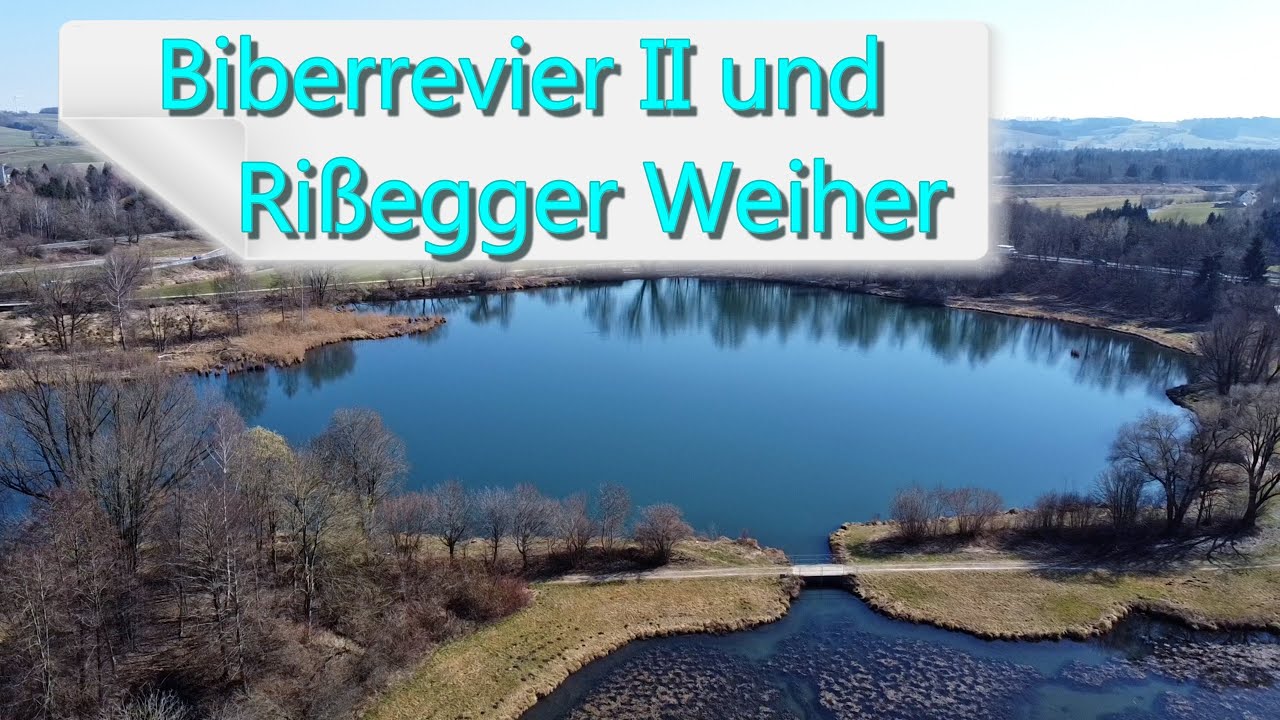 Biberrevier II und Rißegger Weiher im März
