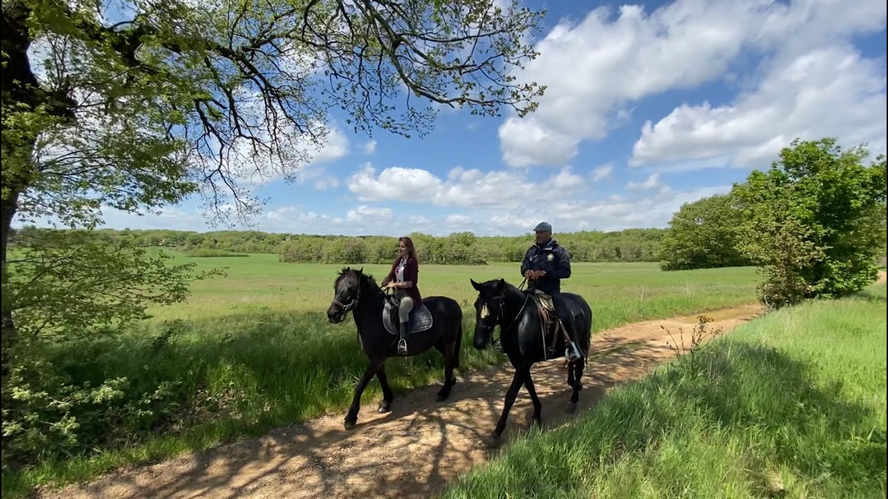 LIFE - Ambiente, Salute, Società | Ep. 1: Slow tourism, escursione a cavallo nel cuore dell'Umbria