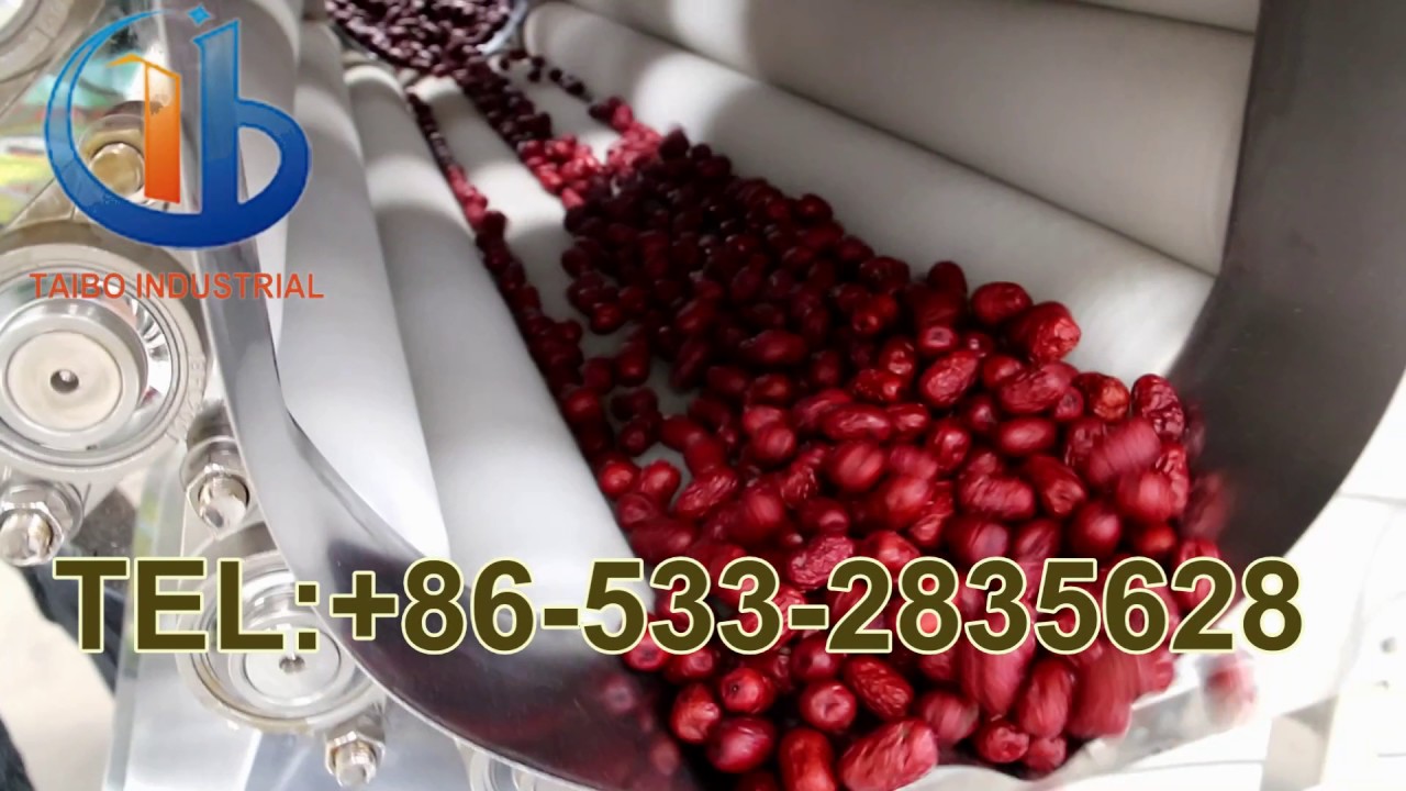 dates lifting dry cleaning and polishing line