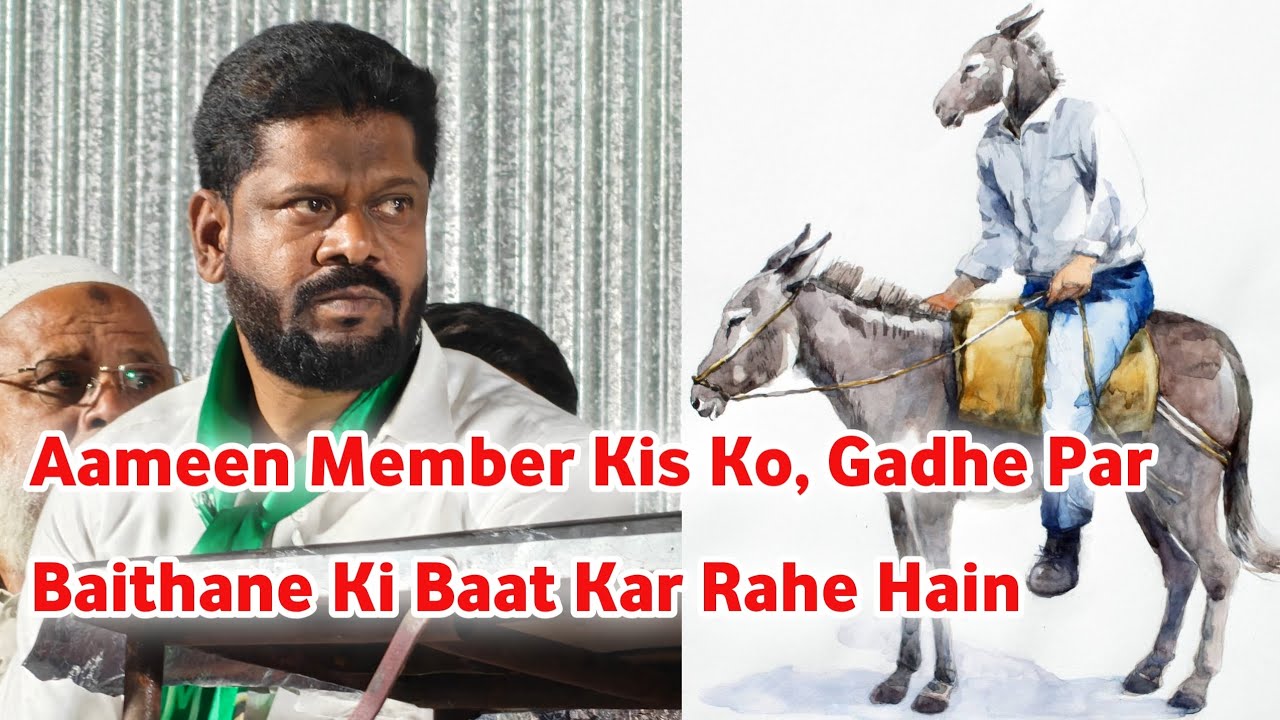 Aameen Member Kis Ko Gadhe Par Baithane Ki Baat Kar Rahe Hain 