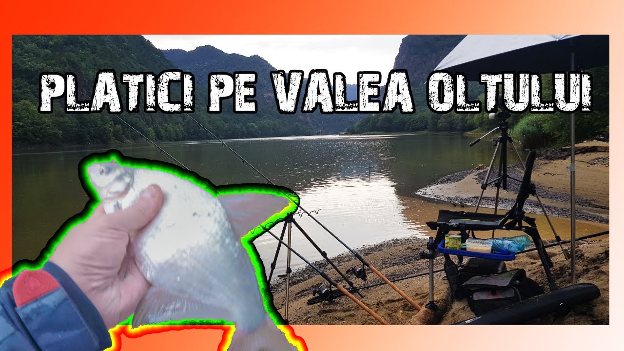 Pescuit la plătica pe Valea Oltului