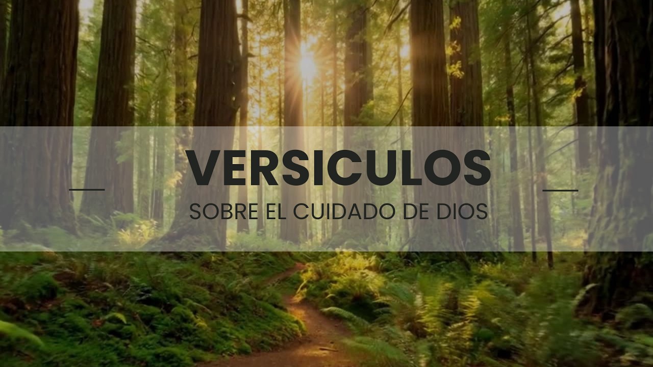 Versículos sobre el cuidado de Dios.