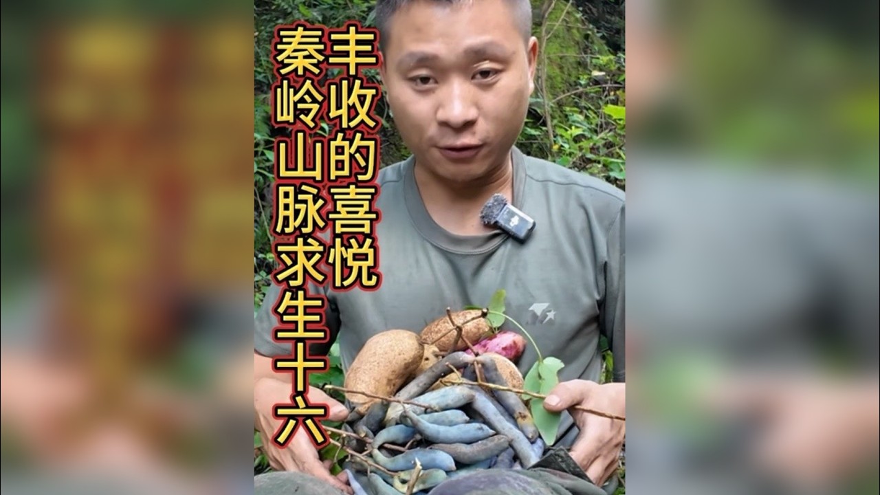 秦岭山脉求生十六 这个小伙在山上求生，连夜赶路摔了一跤，还收获了这么多稀奇古怪的野果，快来看看发生了什么吧