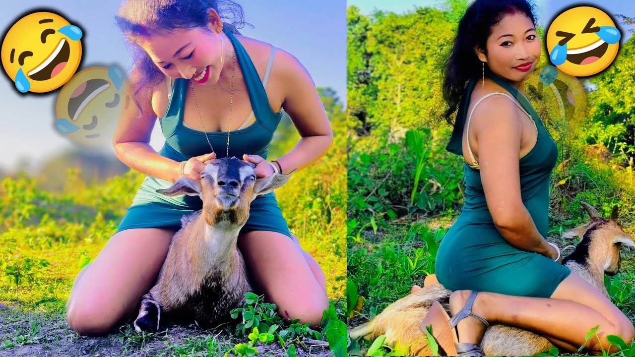 मोटी बकरी पर बैठा तो बकरी भड़क गई 😂🐐 Goat Riding Funny Video🤣