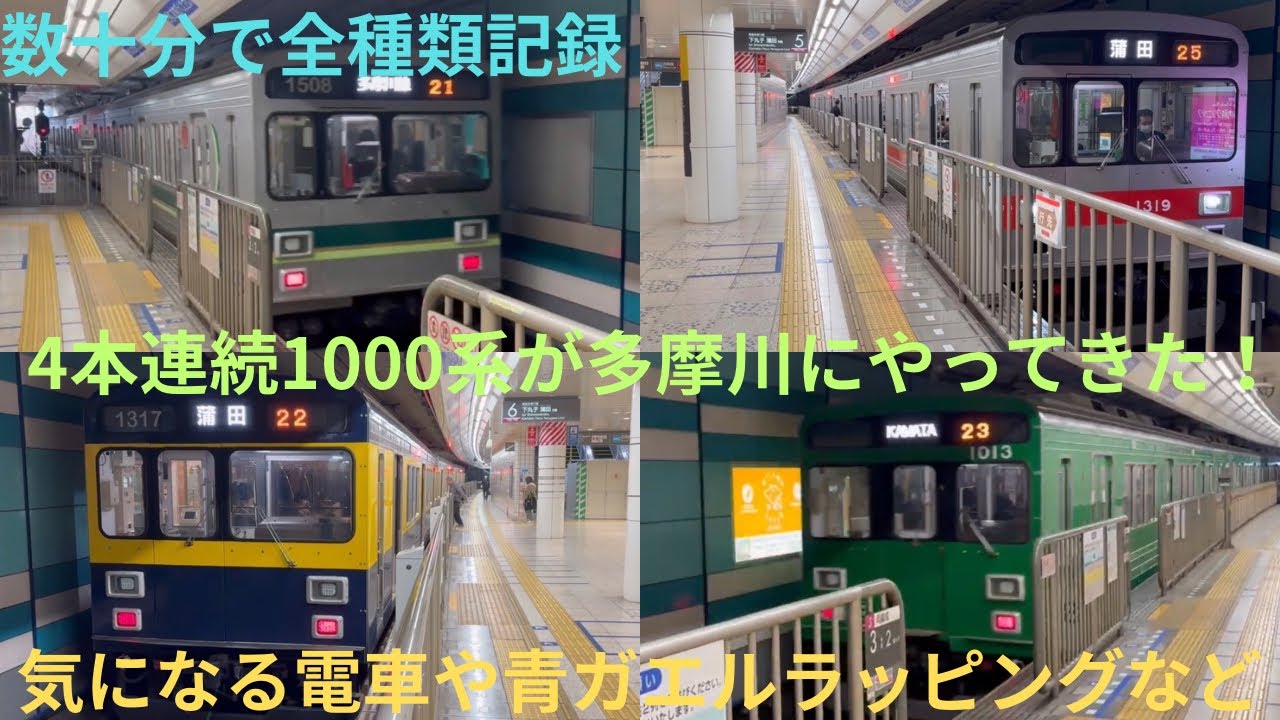 【数十分で全種の1000系を記録！】東急1000系 1508F，1019F（赤帯），1017F（気になる電車），1013F（青ガエルラッピング）多摩川駅発着シーン