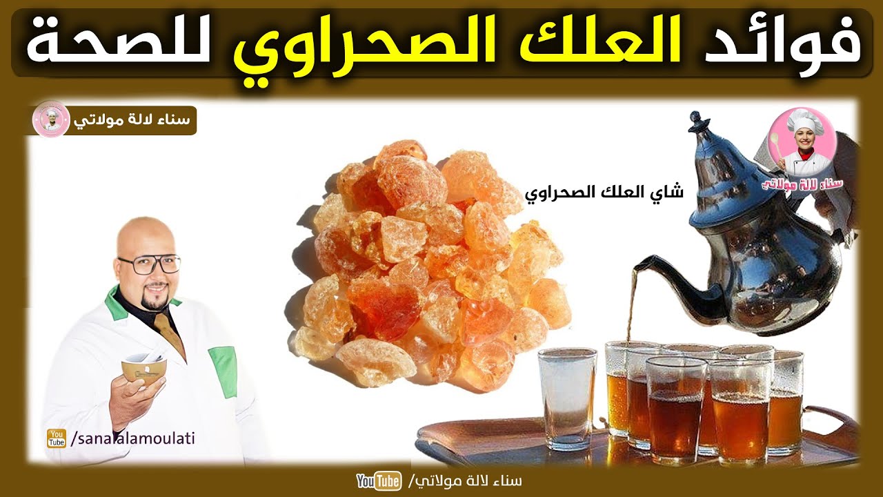 العلك الصحراوي وفوائده الصحية رفقة الدكتور عماد ميزاب Dr imad Mizab