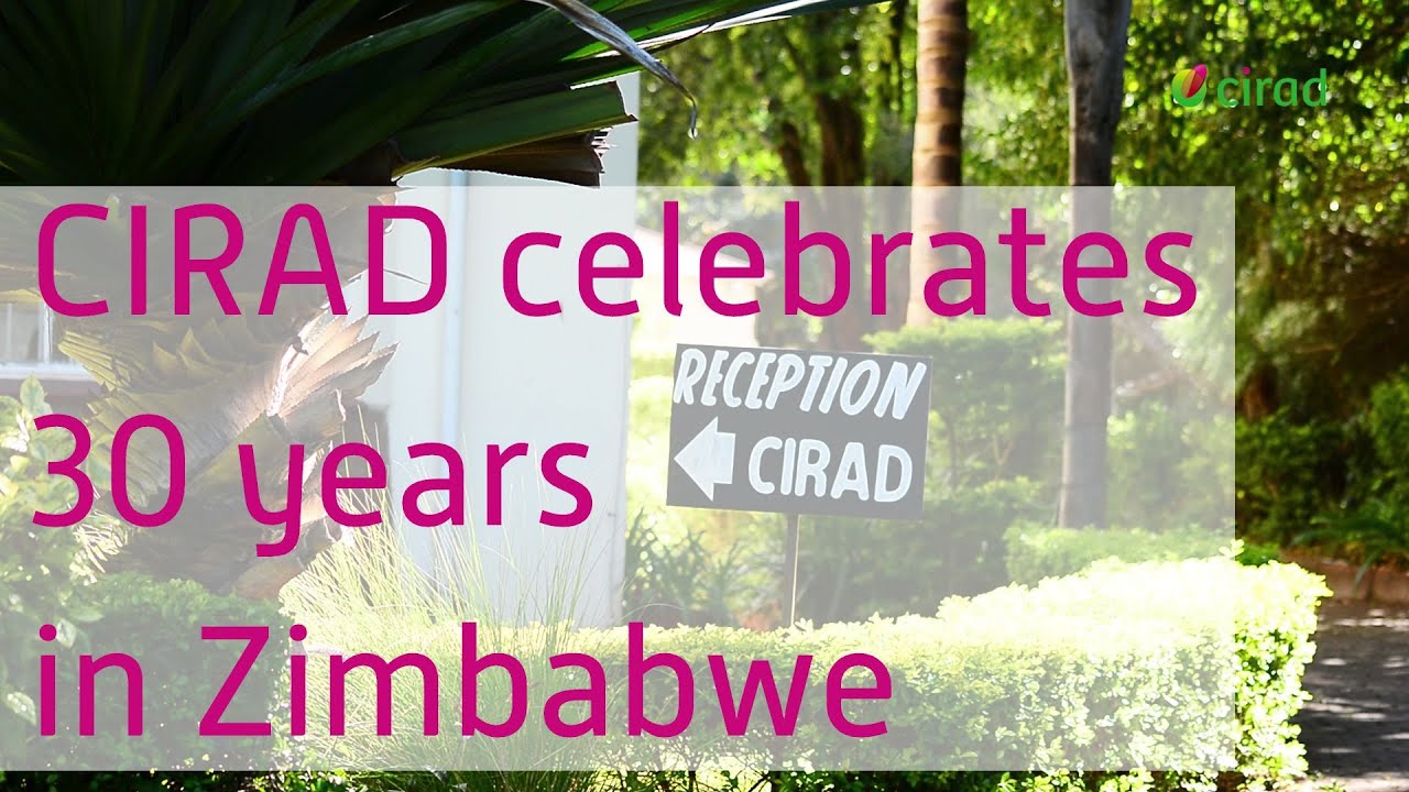 CIRAD celebrates 30 years of work and partnerships in Zimbabwe