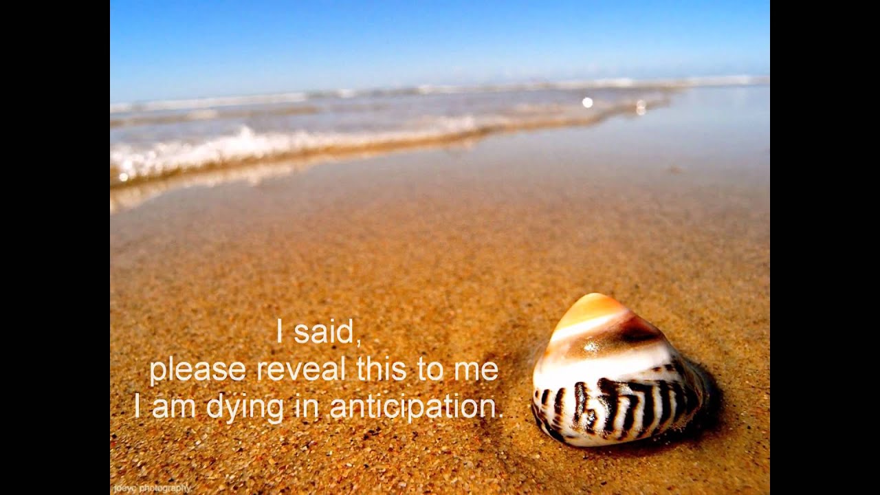 Rumi - Love said to me