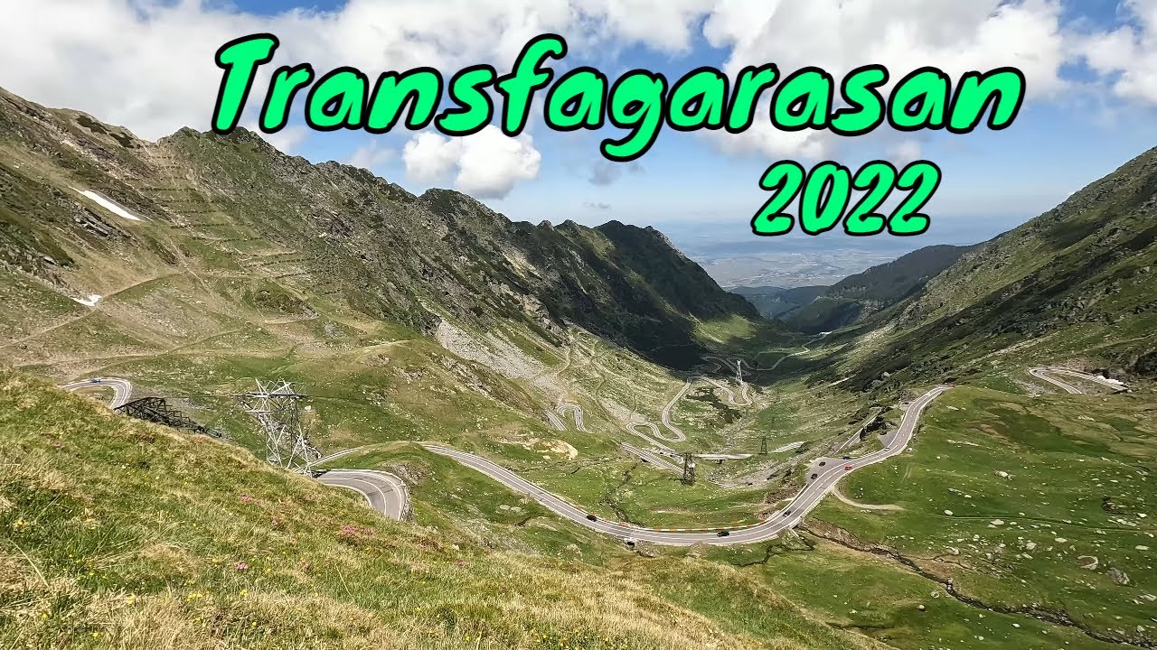 Transfagarasan, Balea Lac, Rhododendron video 4K 2022