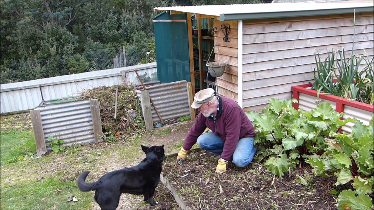Asparagus & Rhubarb - Winter Care
