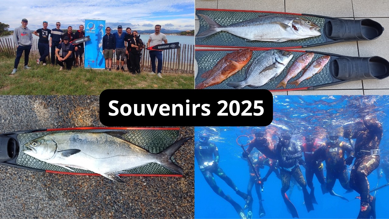 Chasse sous-marine : Souvenirs 2025 (+ infos)