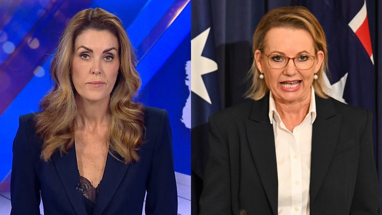 ‘She should resign’: Credlin calls for Ley to go as Liberal leader