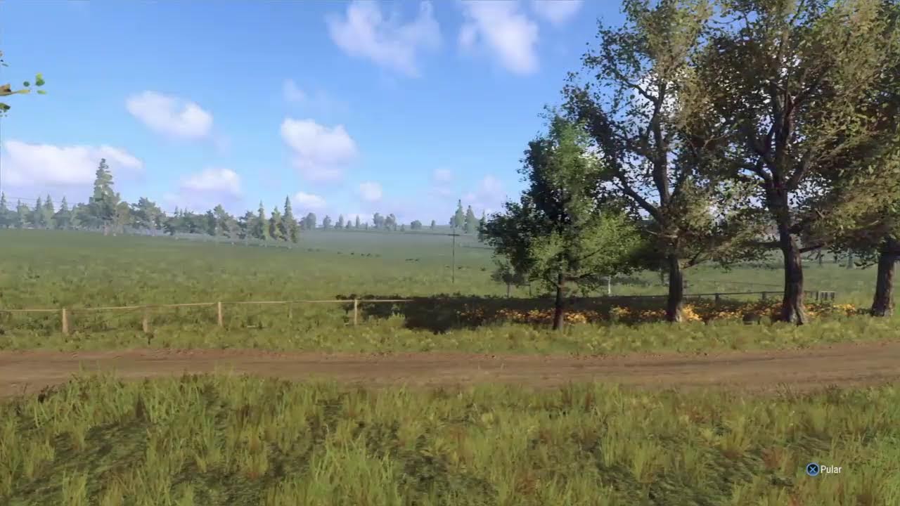 Rally