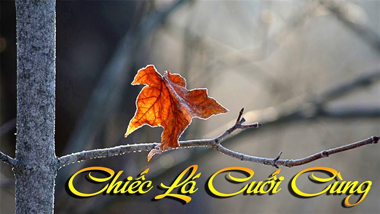 ✿ CHIEC LA CUOI CUNG