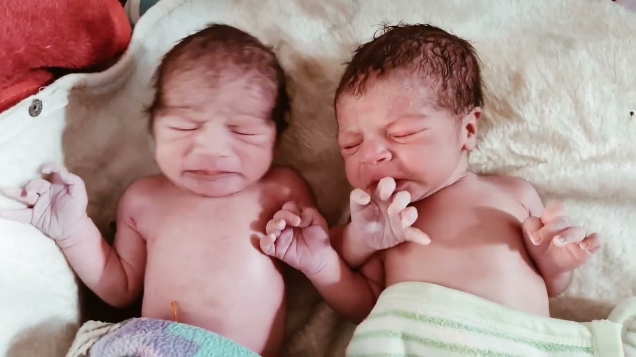 identical Twins newborn baby 👶 💕 😍 #viral #viralvideo #twins #trending #babies