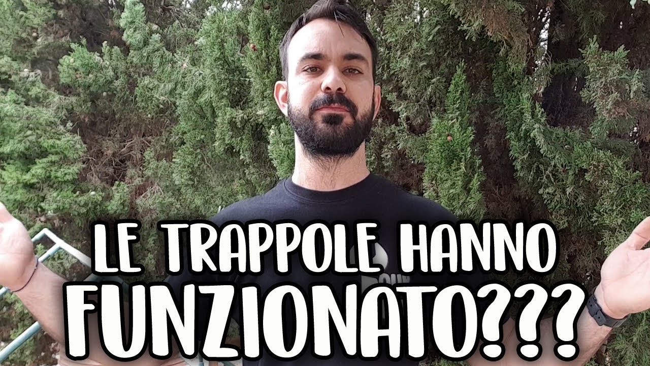 ELIMINARE L'OZIORRINCO IN 2 MODI