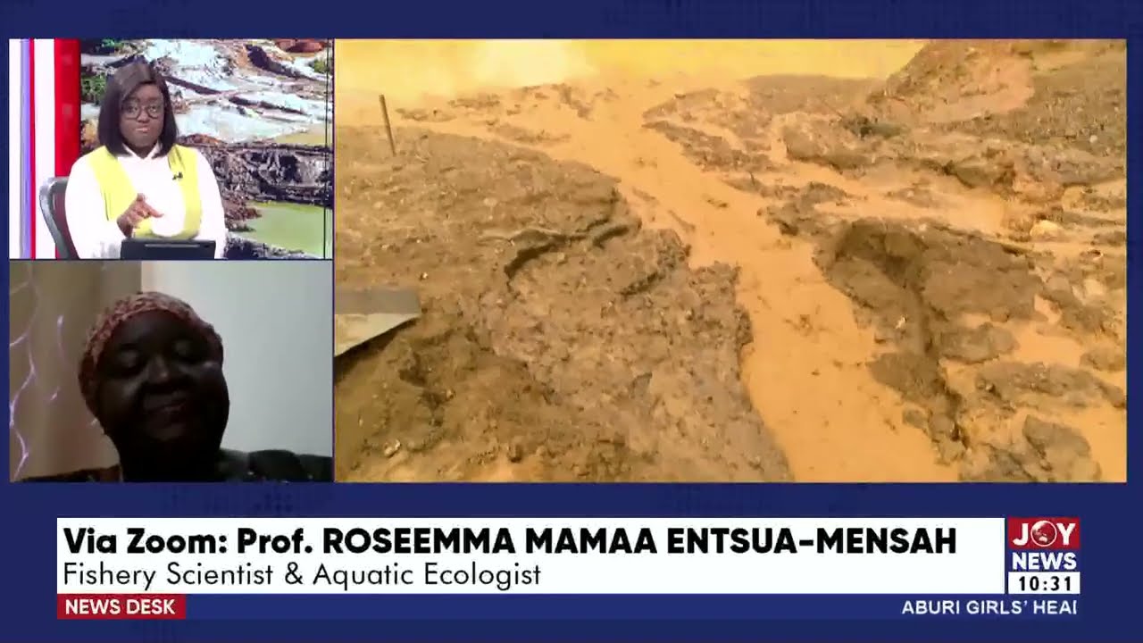 Fight Against Illegal Mining: Ghana Academy of Arts and Sciences calls for a ban on galamsey