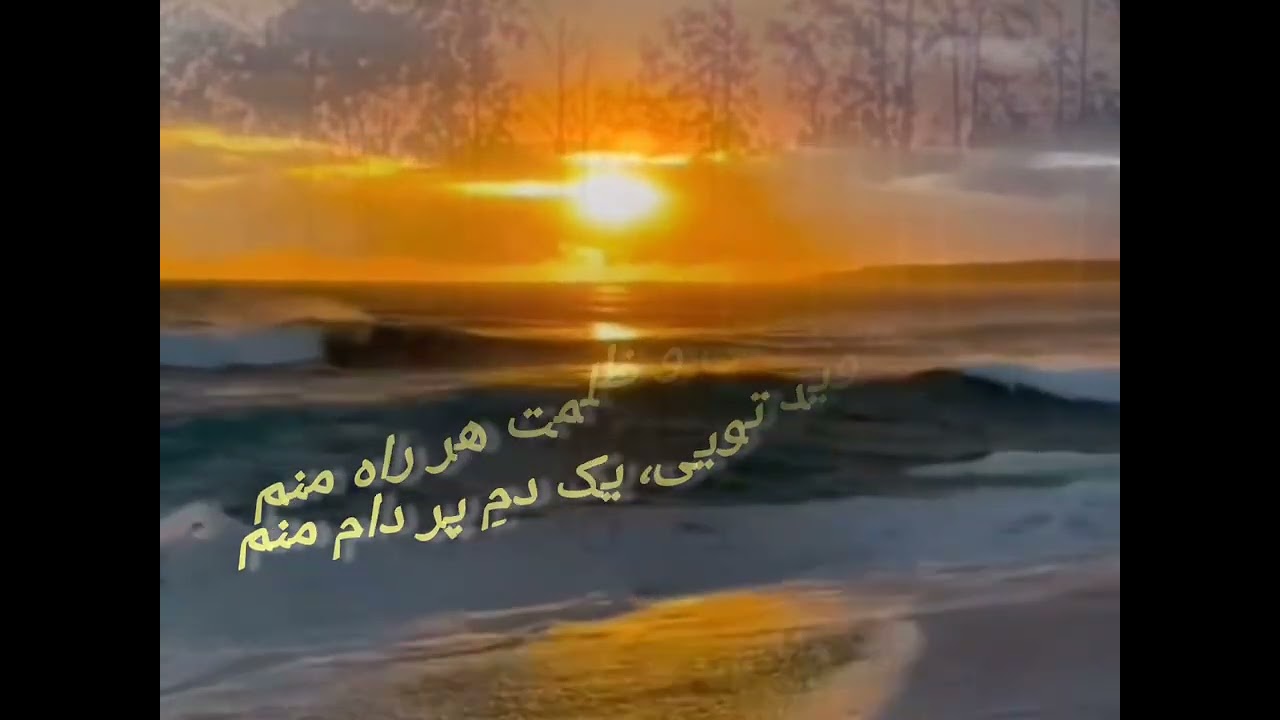 مرغ دریا ، شعر فارسی
