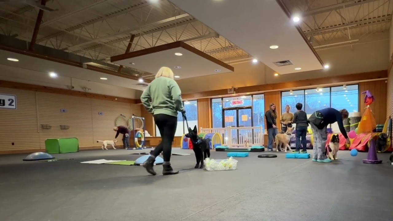 Adrian Feb. 10, 2026 Fear Free puppy class