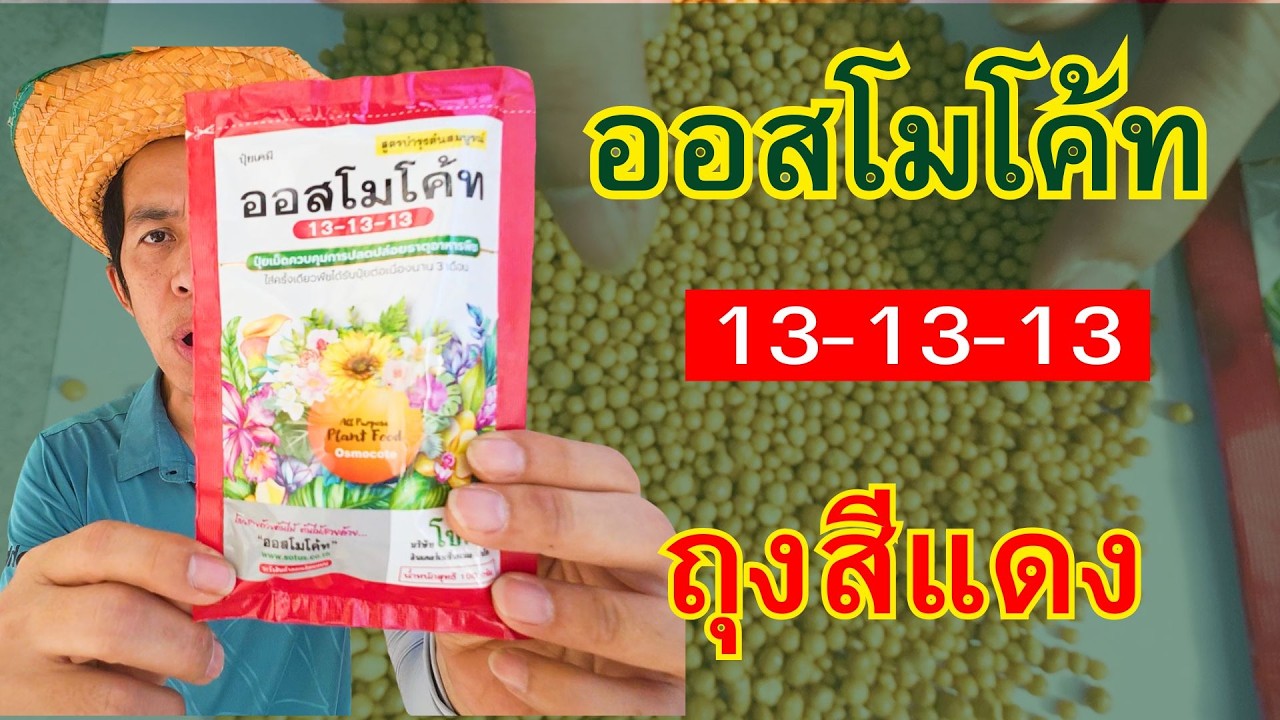 รีวิวออสโมโค้ทถุงสีแดง 13-13-13 #ออสโมโค้ท #ออสโมโค้ทถุงสีแดง #ออสโมโค้ทแดง #ออสโมโค้ทโซตัส