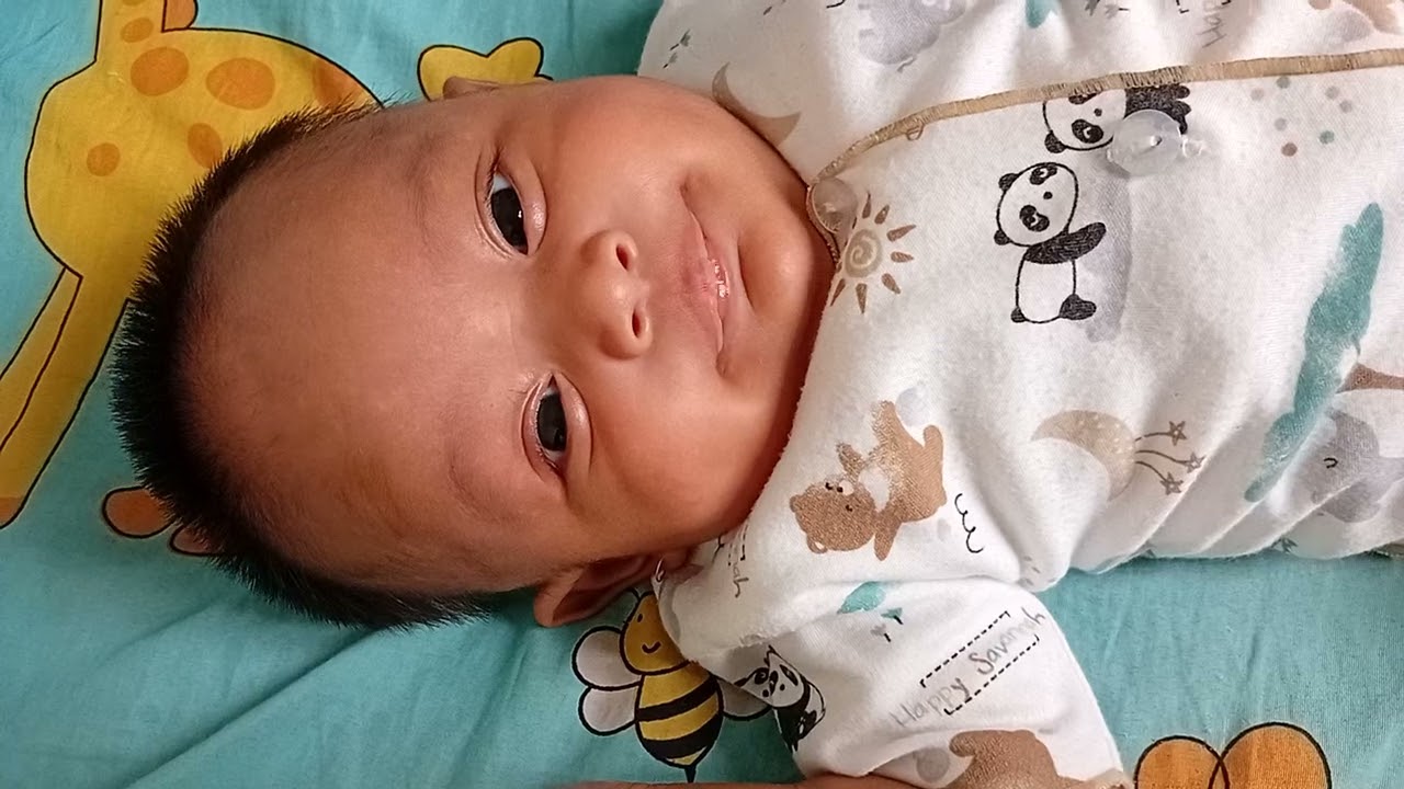 2bulan, 27januari 2026