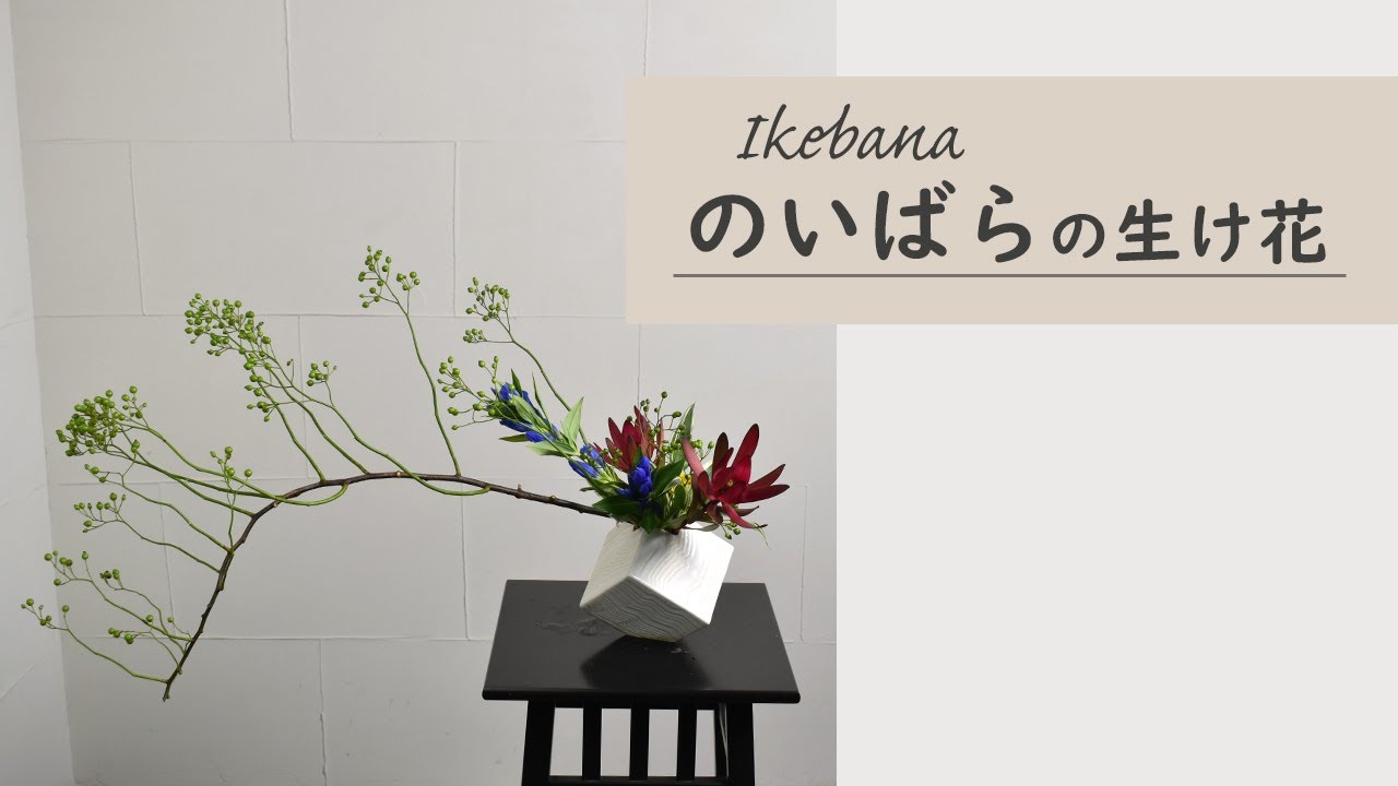 【のいばらの生け花】 初心者でもコツが分かればとっても簡単！ 生け方の基本からアレンジまでサクッと紹介。 ikebana style class Japanese flower arrangement
