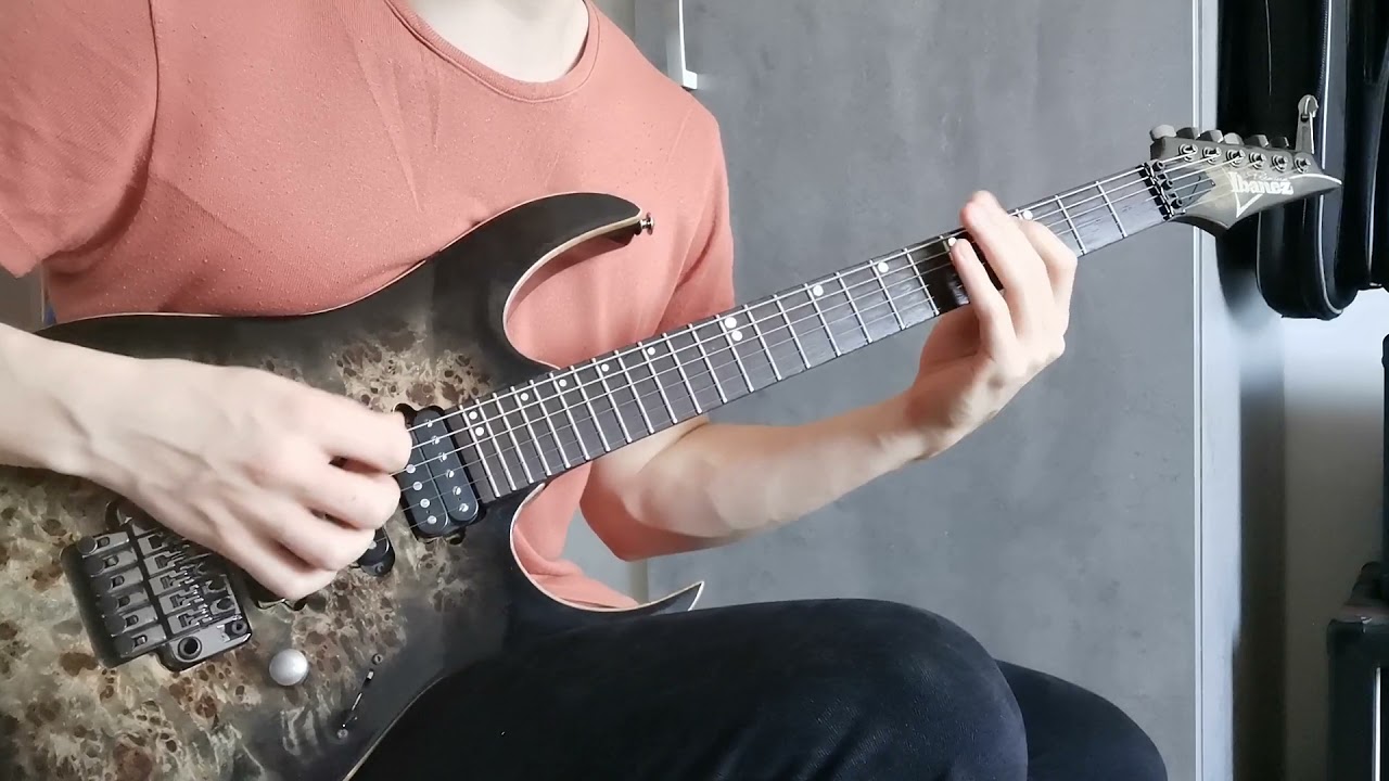 Monuments - Animus (cover) Marcin Momot