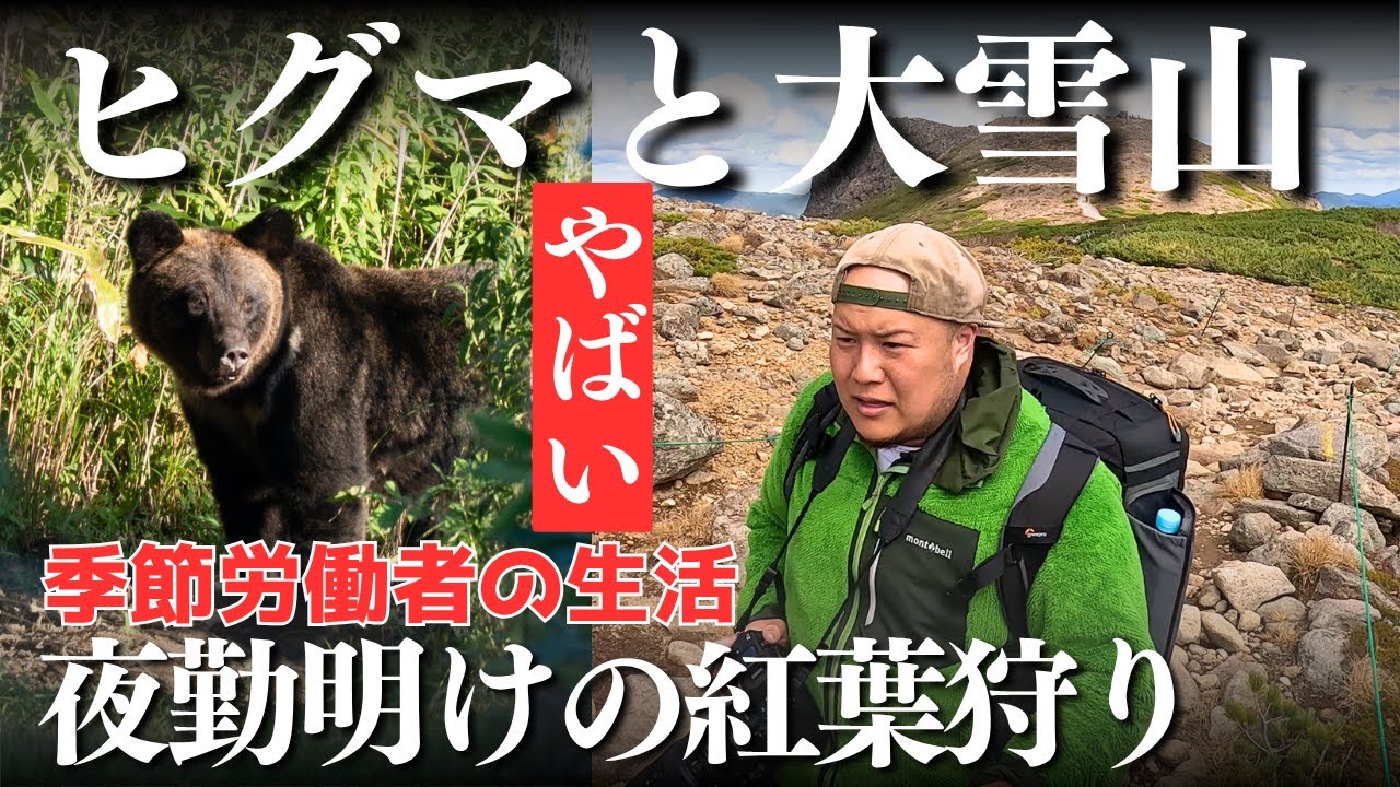【ヒグマ出没】秋の日常。夜勤明けの紅葉狩り【北海道】