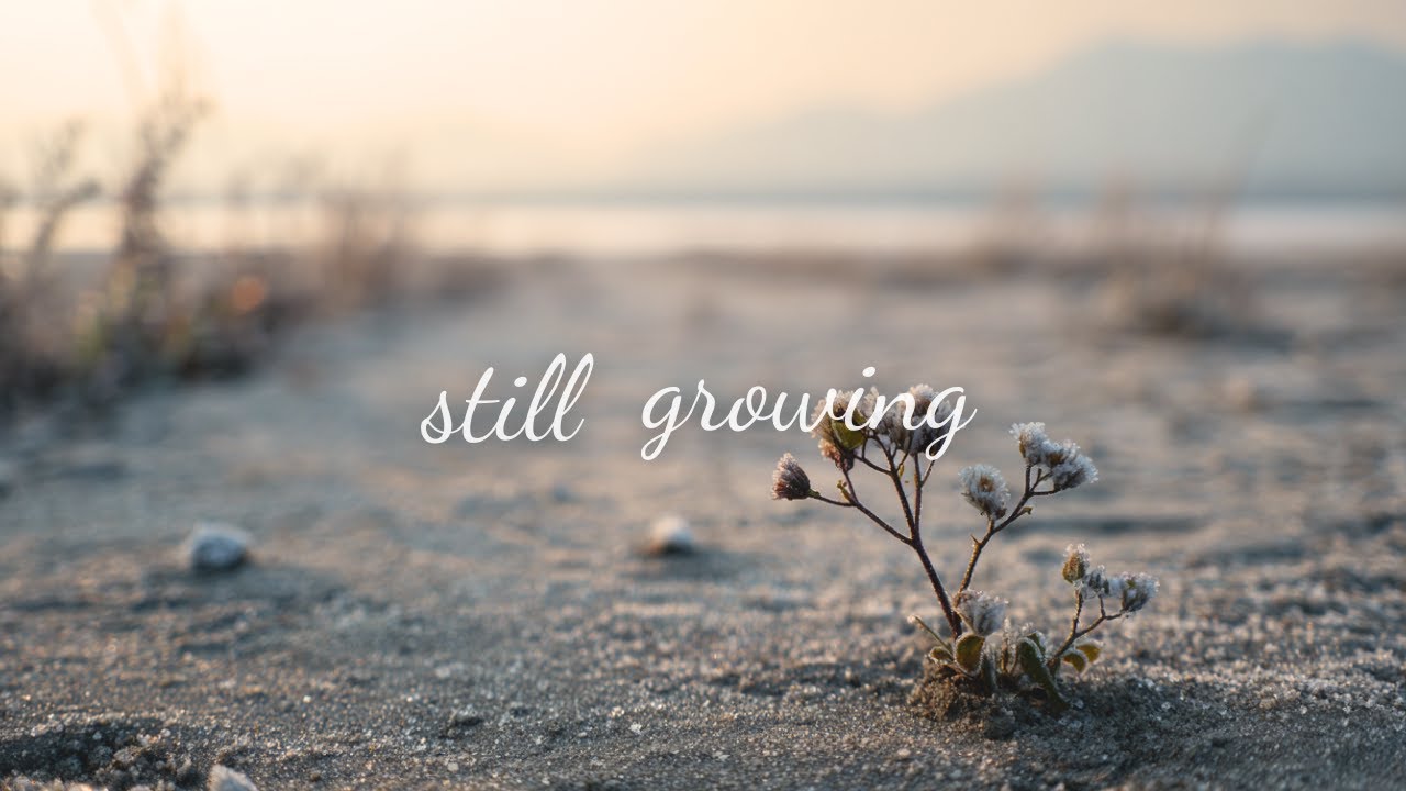 Gentle Winter Playlist | Still Growing, Slowly and Gently